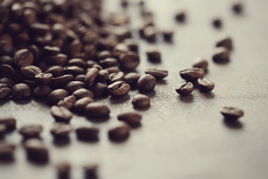 Choosing the Best Coffee Beans to Brew